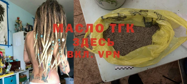 индика Вязьма