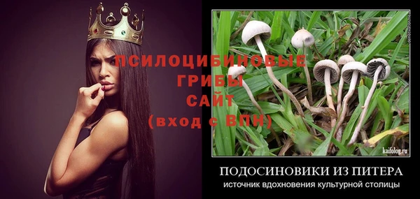 apvp Горнозаводск