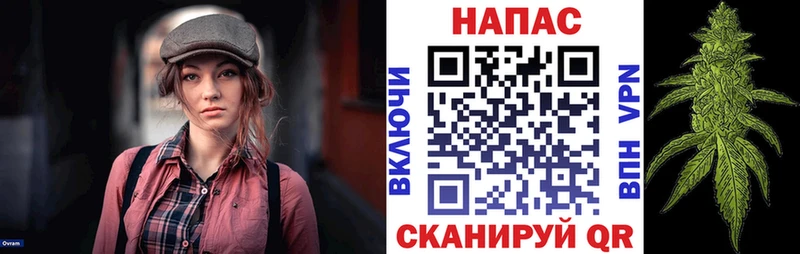 Бошки Шишки Amnesia Чита
